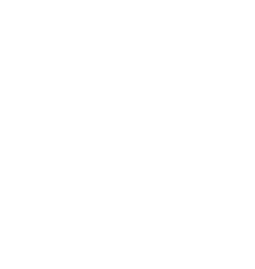 Ansha Enterprises